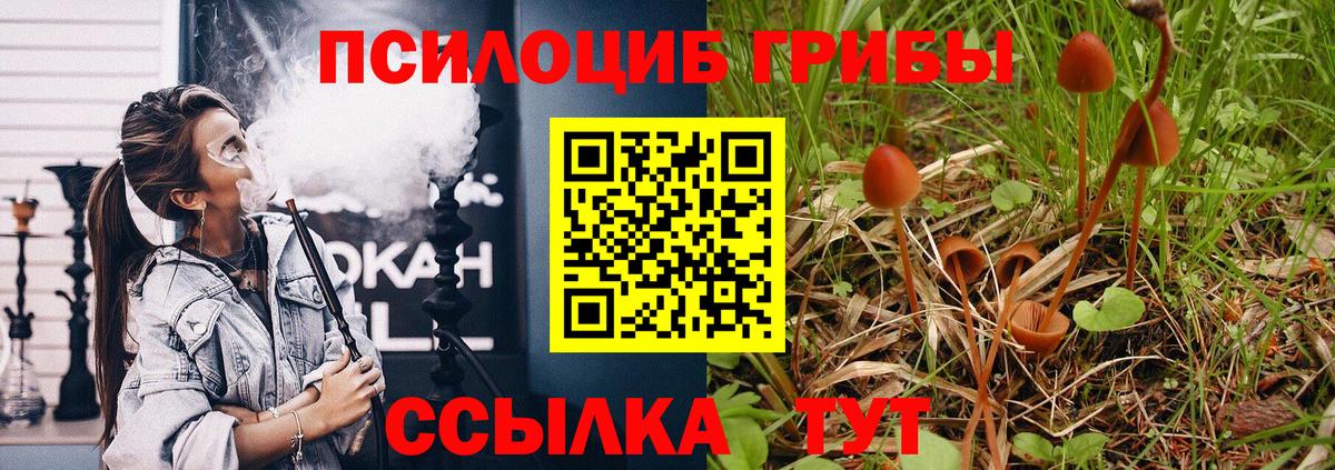 Галлюциногенные грибы Cubensis Шарыпово