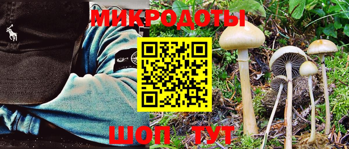 Шарыпово  Псилоцибиновые грибы Magic Shrooms  купить наркотик  Вход с VPN 